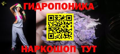 ПСИЛОЦИБИНОВЫЕ ГРИБЫ Можга