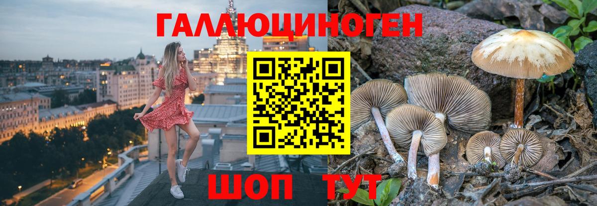 Псилоцибиновые грибы мицелий Пугачёв