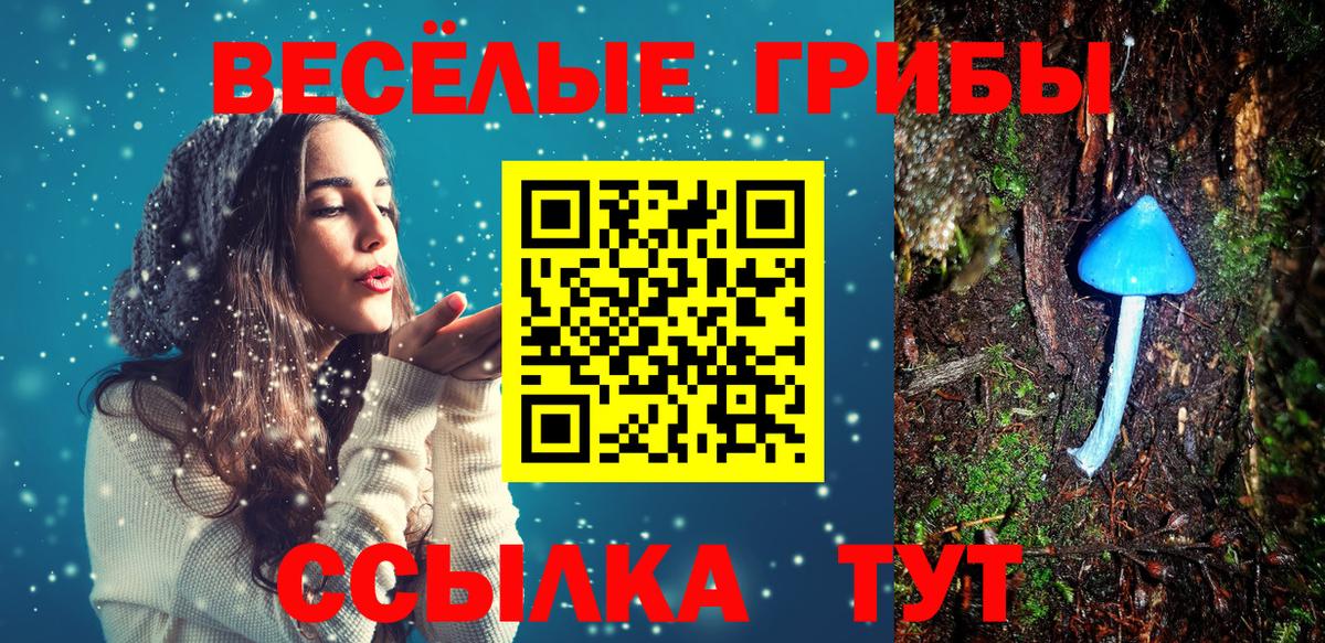 Псилоцибиновые грибы Psilocybine cubensis  Вход с VPN  Псилоцибиновые грибы ЛСД  Пугачёв 